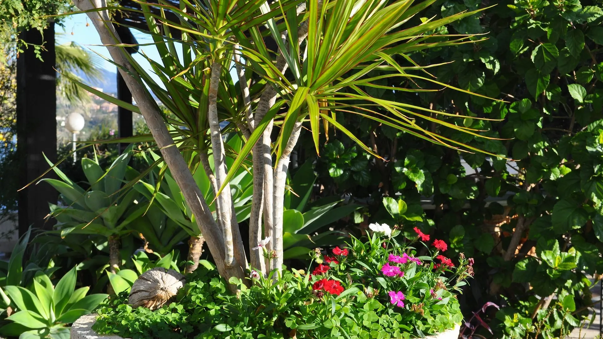Guest house Casa Silca (Adults Only) Hotel Marbella